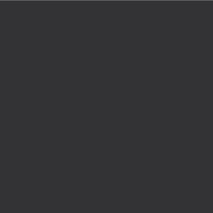 Noir Onyx – RAL 2100