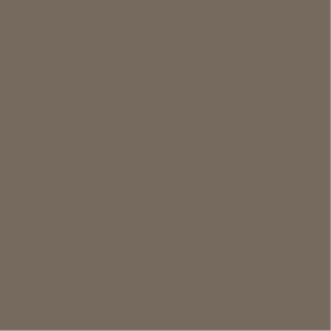 Gris Quartz – RAL 7006