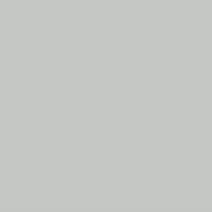 Gris Galet – RAL 7035