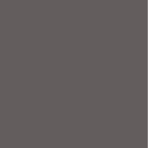 Gris Ardoise – RAL 8019