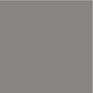 Gris Orage – RAL 9007