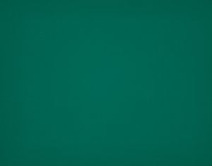 Toile Dickson Orchestra – 0003 Vert