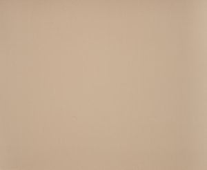 Toile Dickson Orchestra – 8902 Beige
