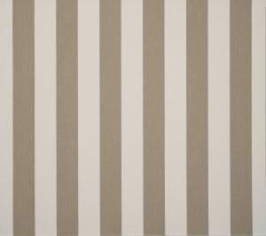 Toile Dickson Orchestra – 8921 BS Bruyère