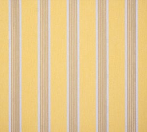 Toile Dickson Orchestra – D107 Manosque Jaune