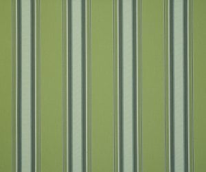 Toile Dickson Orchestra – D310 Chicago Vert