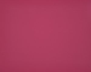 Toile Dickson Orchestra – U170 Rose