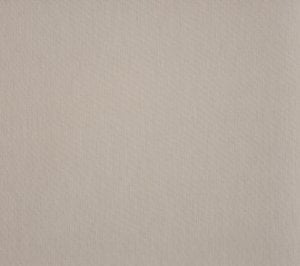 Toile Dickson Orchestra – U370 Papyrus Tweed